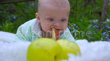 婴儿坐在草地上吃大苹果